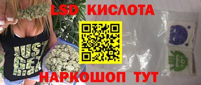 прущие грибы Дубна