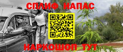 гидра Донецк